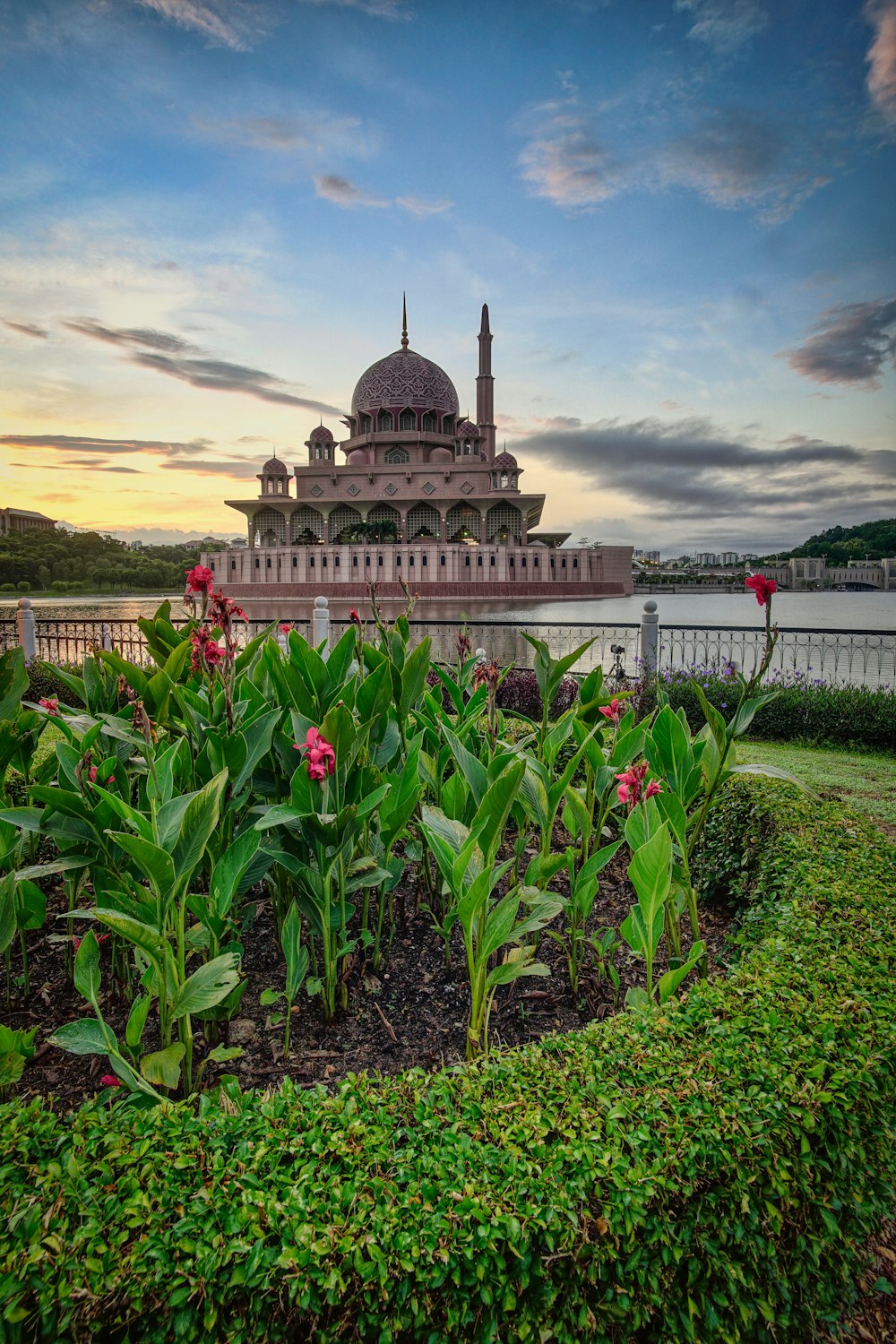 brown dome building viewing pink flower garden under blue and white skies