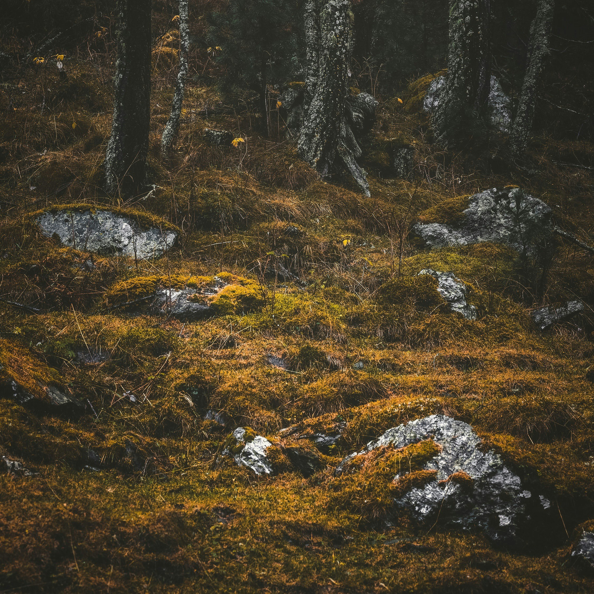 Photo by asifalibhatti23