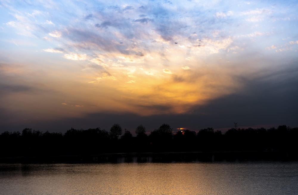 Silhouettenfotografie von Bäumen während der goldenen Stunde