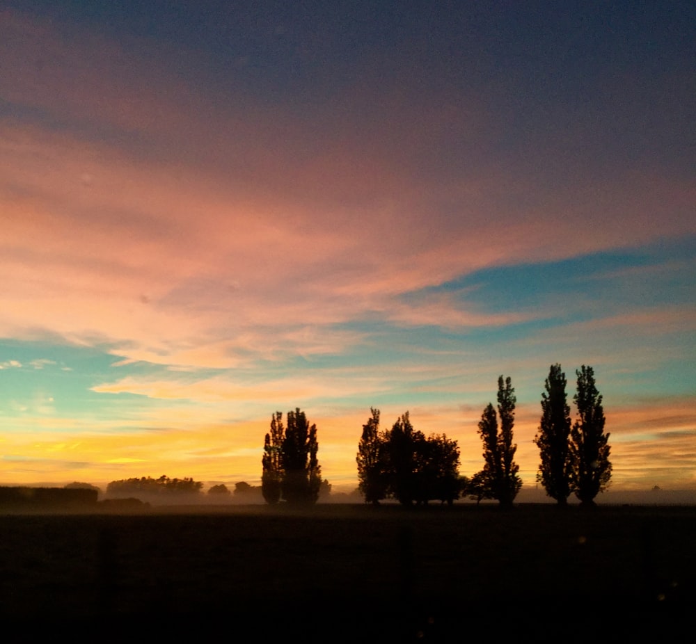 tall and green trees under orange and yellow skies