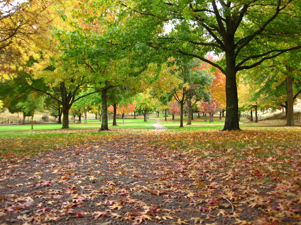 green trees