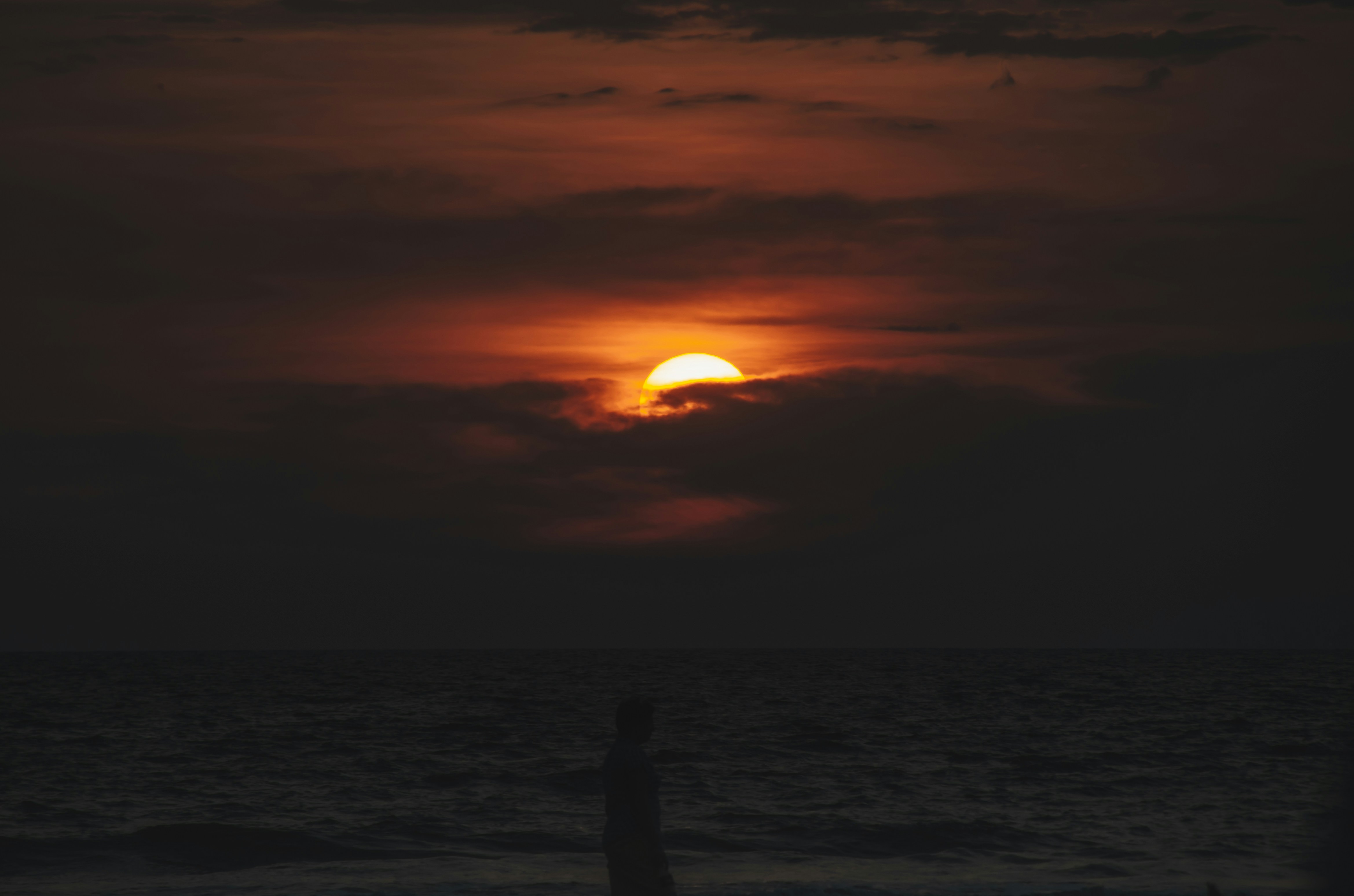 Photo by yogi2099