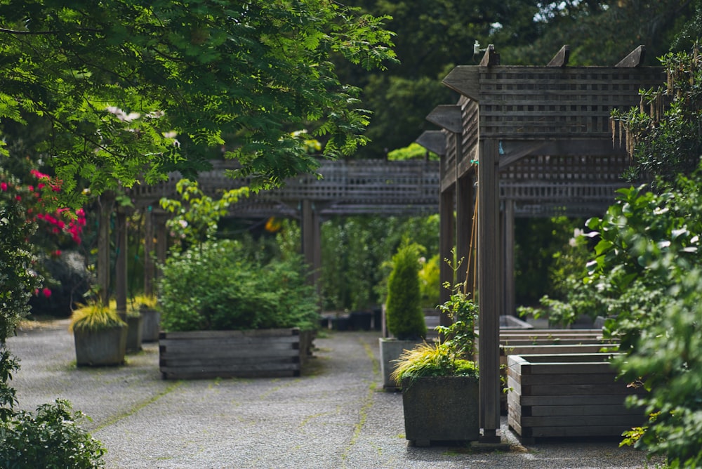 brown wooden gazebo and trees