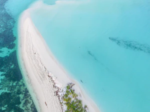 A beautiful beach in Curacao with clear blue waters.