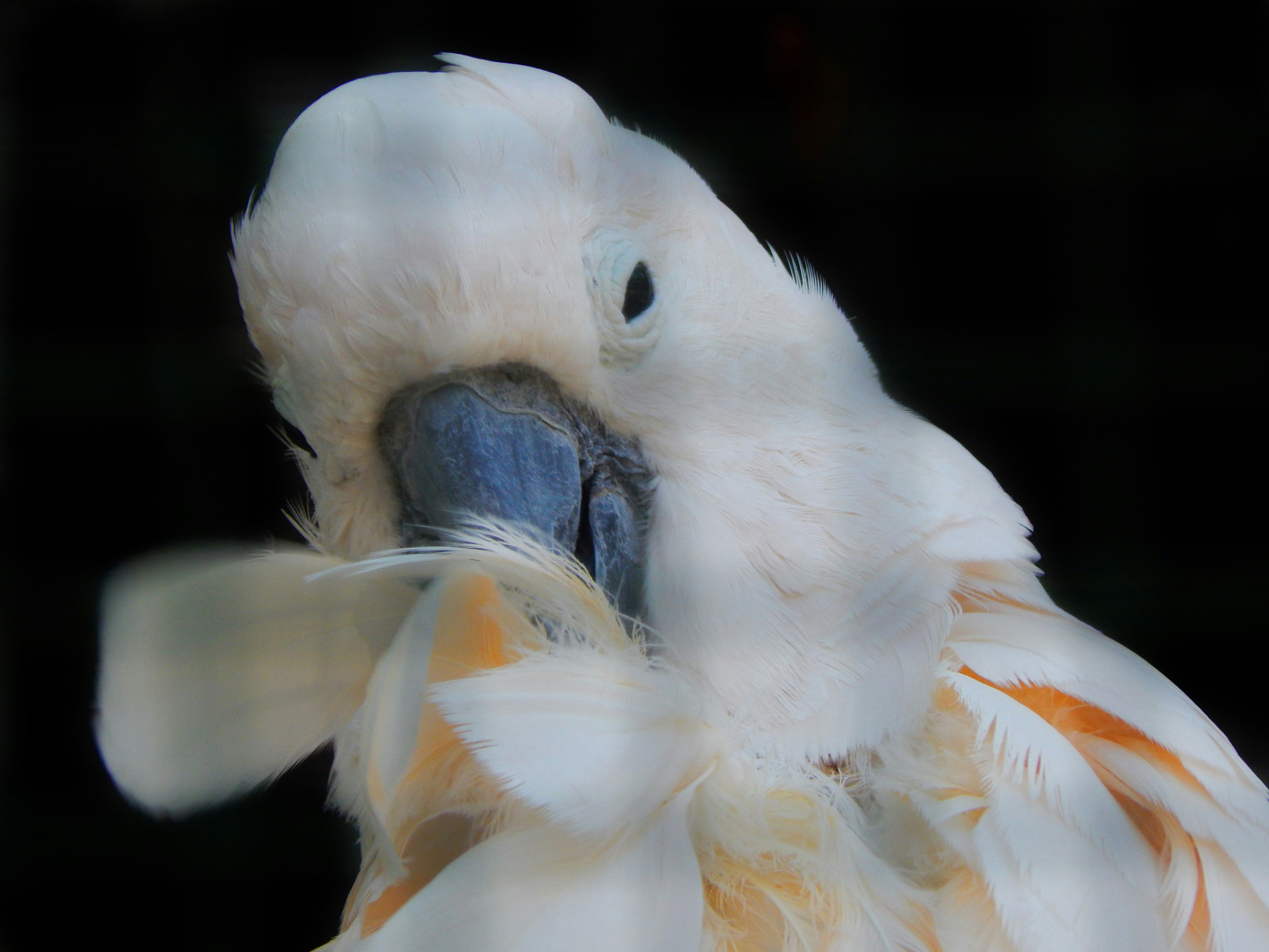 Photo by manasi_shah