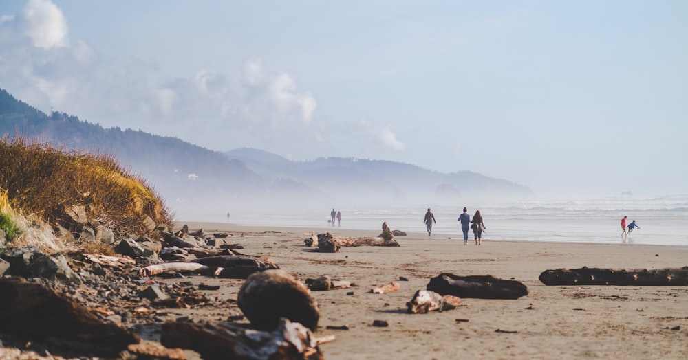 people walking on beach during daytime