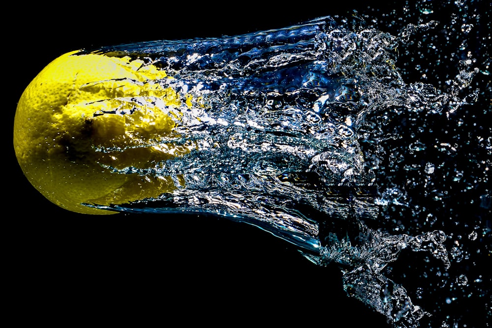 lemon covered with water time-lapse photo