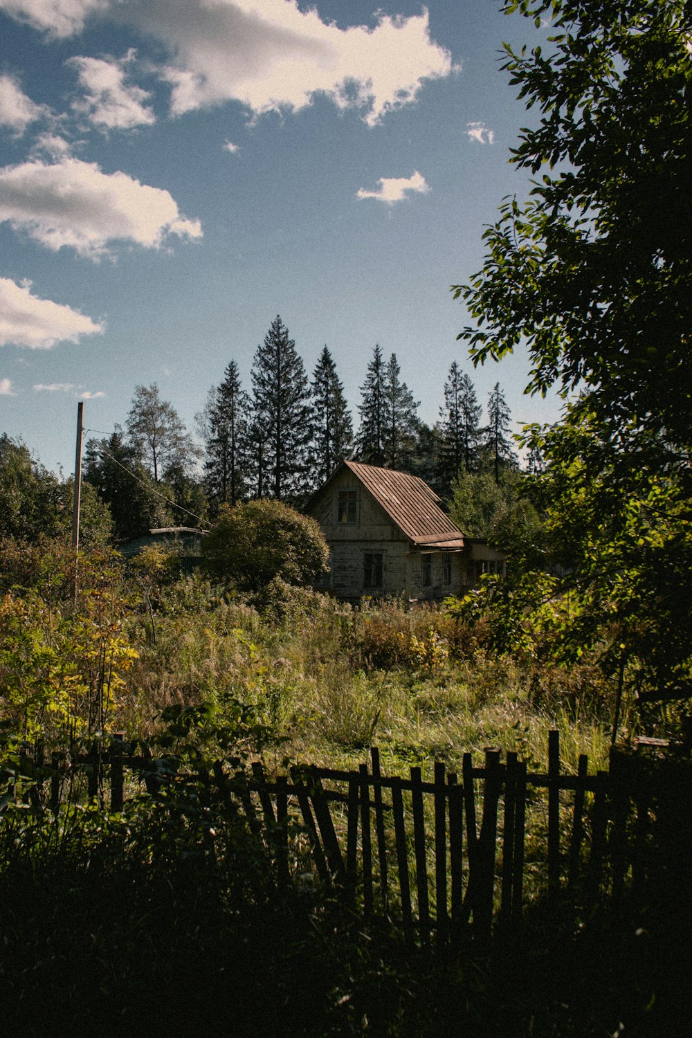 brown and gray house on forest