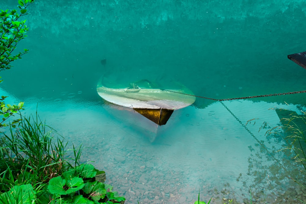 brown boat