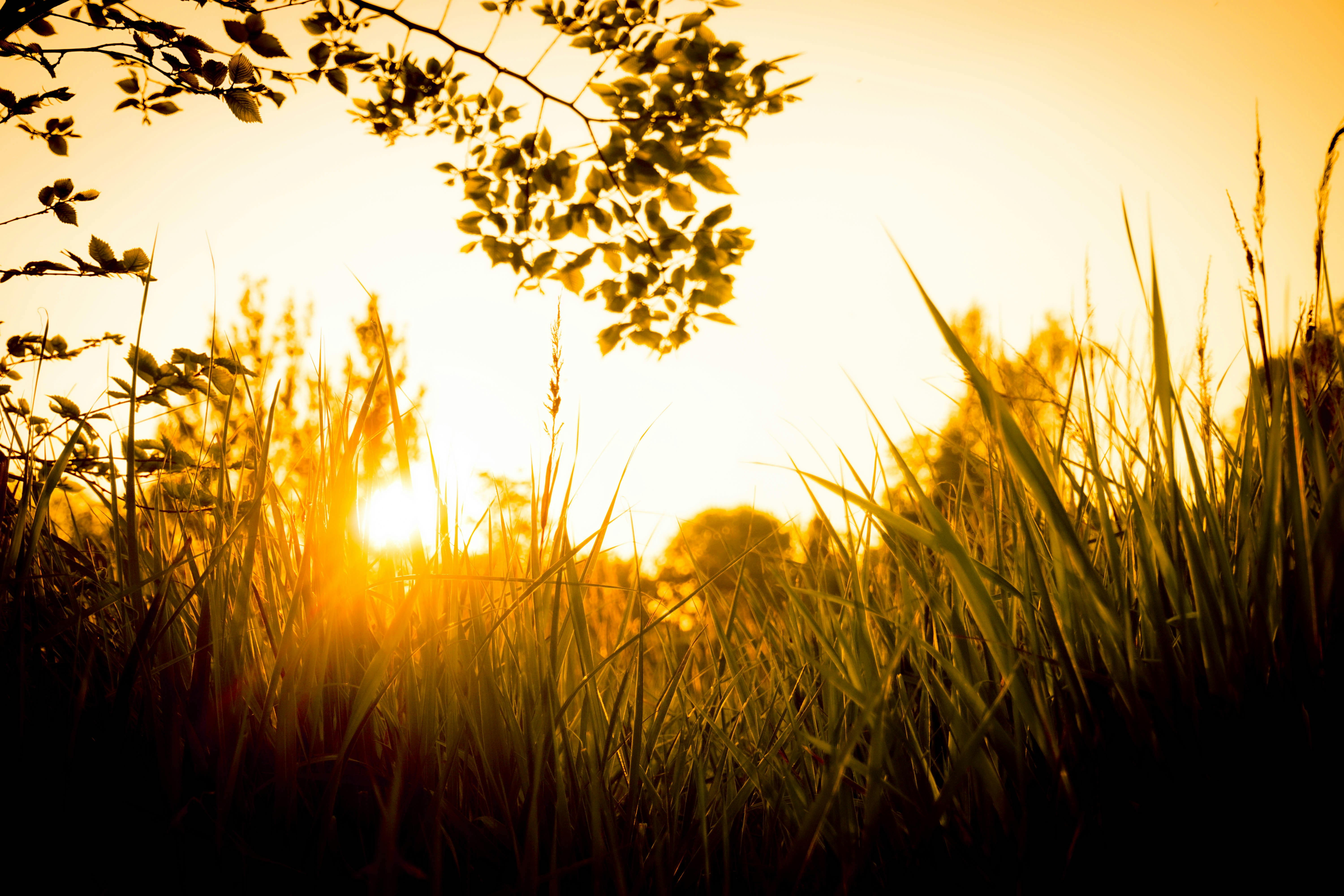 Photo by matt_wojtas