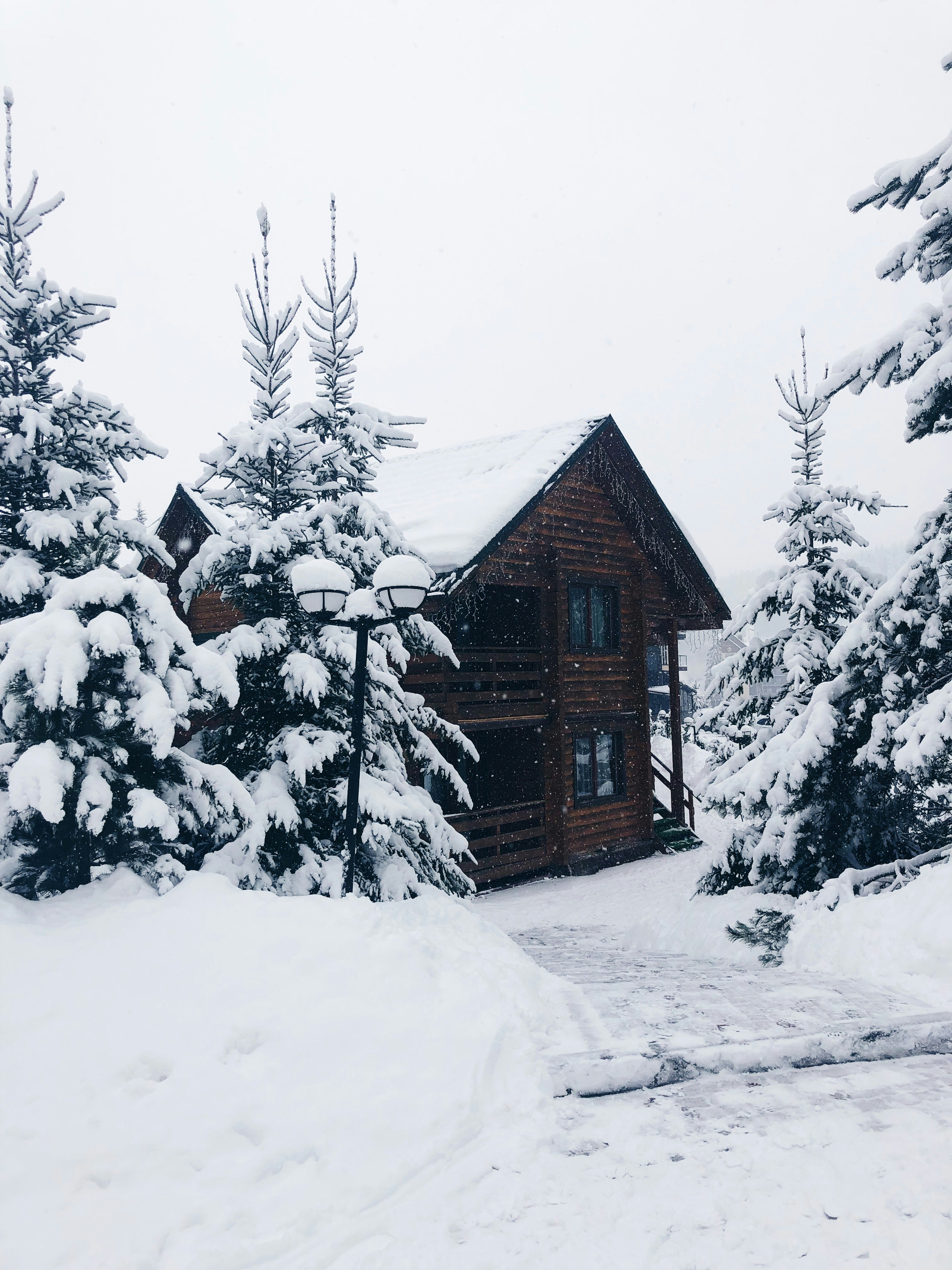 cabin in forest with snow