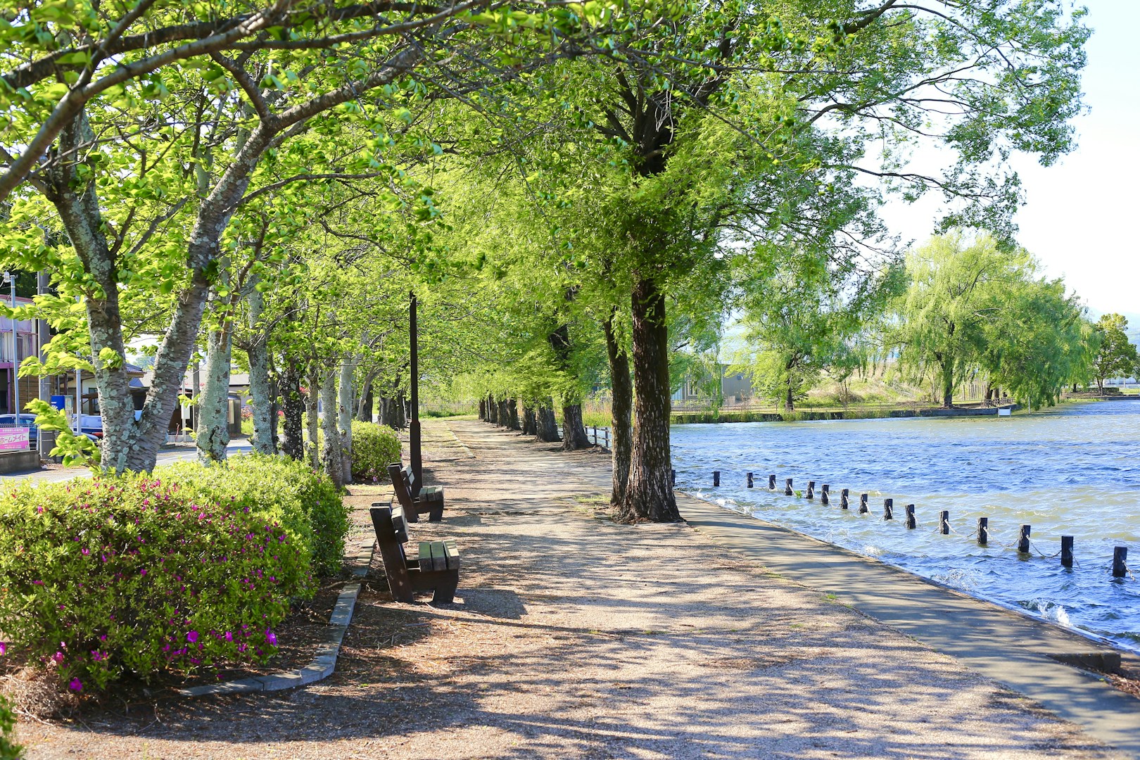 Scenic riverside running trail