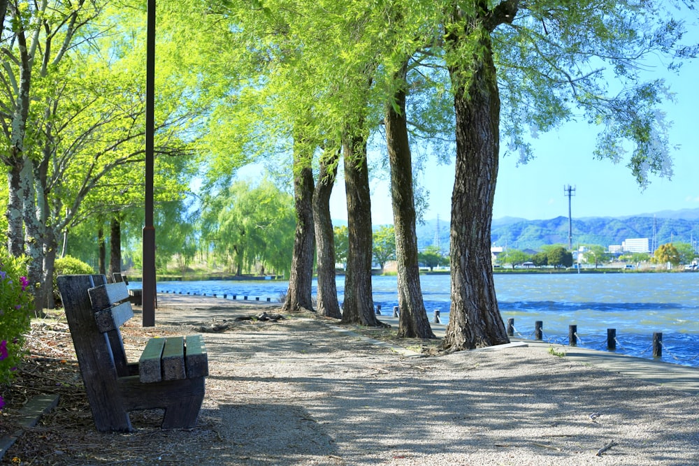 banc près d’un plan d’eau