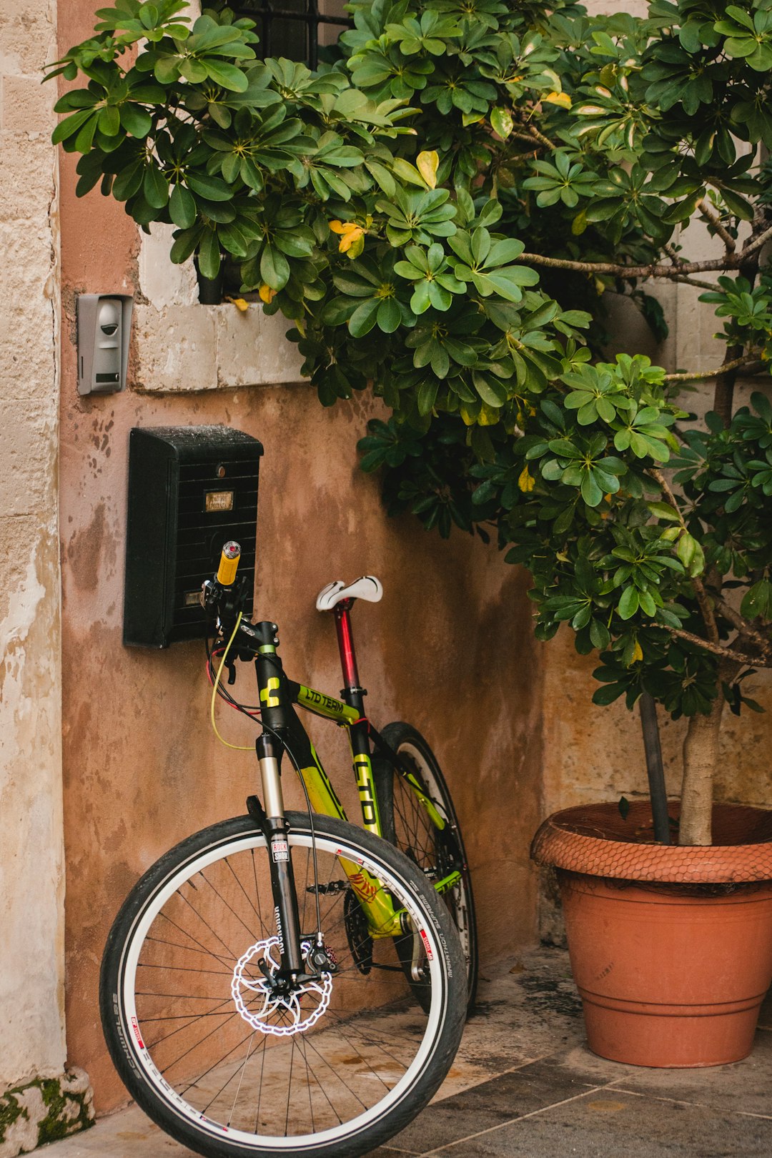 black bicycle near tree