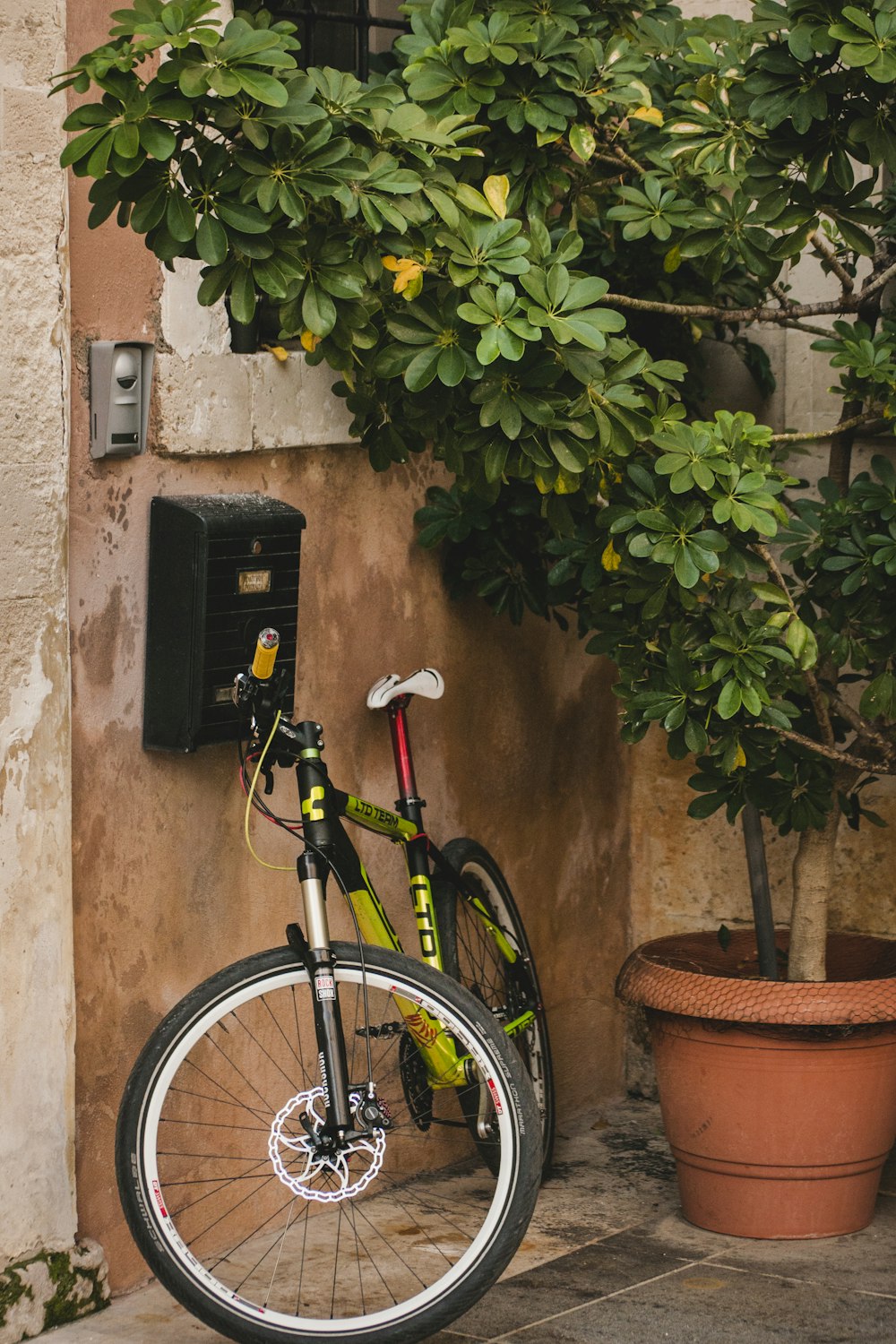 vélo noir près de l’arbre