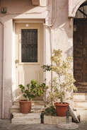 Detailed close-up of a charming front door and garden entrance.