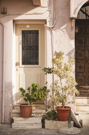 A cozy residential doorway softened by rich, leafy plants in elegant stone pots.