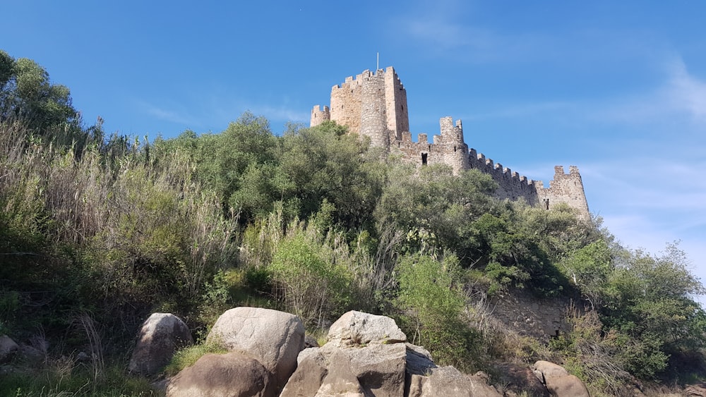 gray concrete castle beside green grass