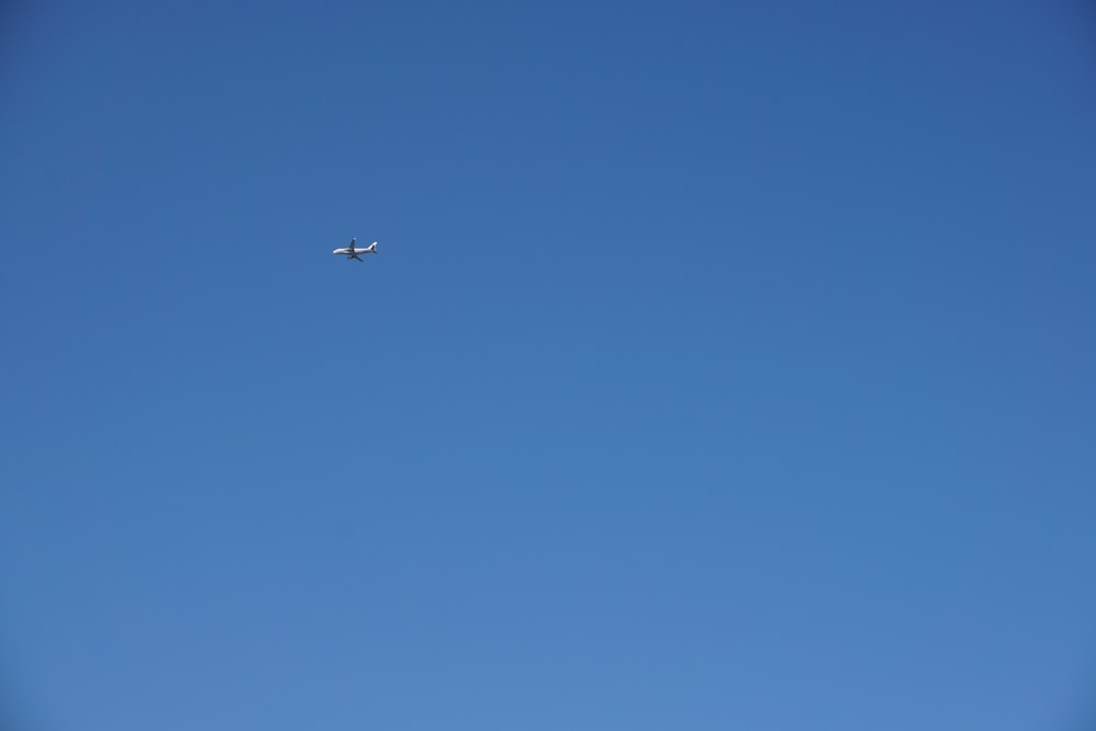 plane flying on sky