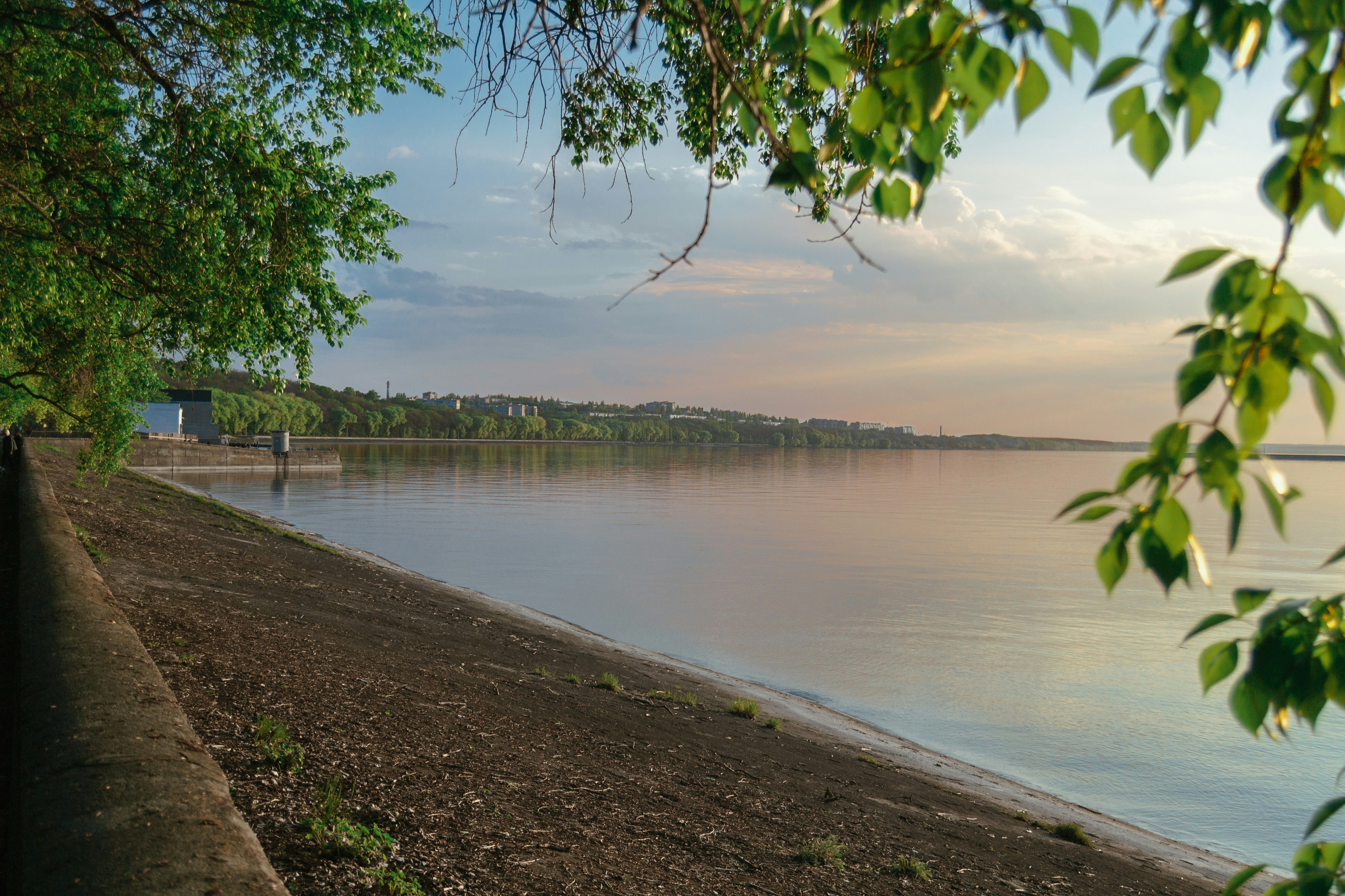 Photo by ser_diominn