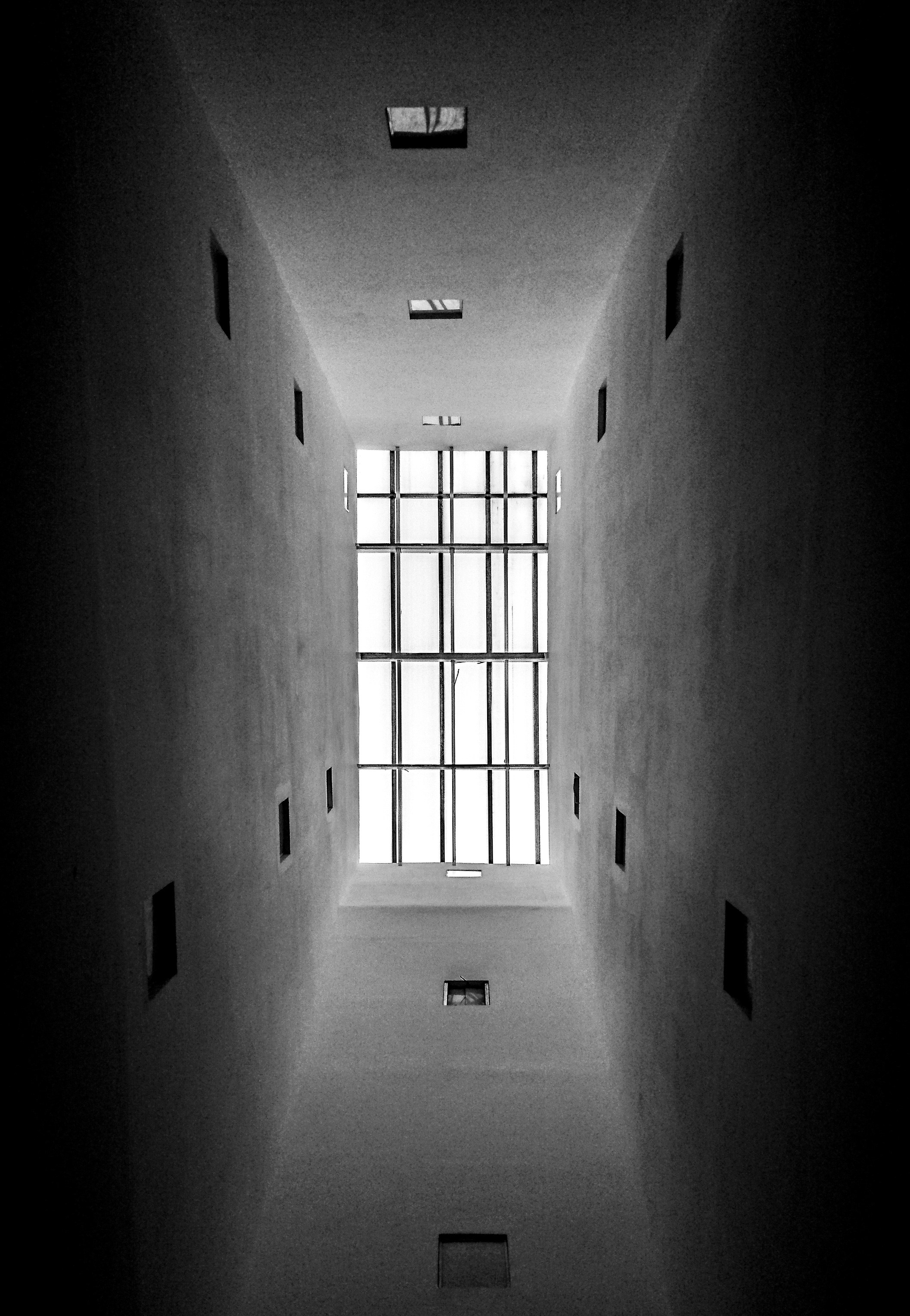 Photo by focus_graphy