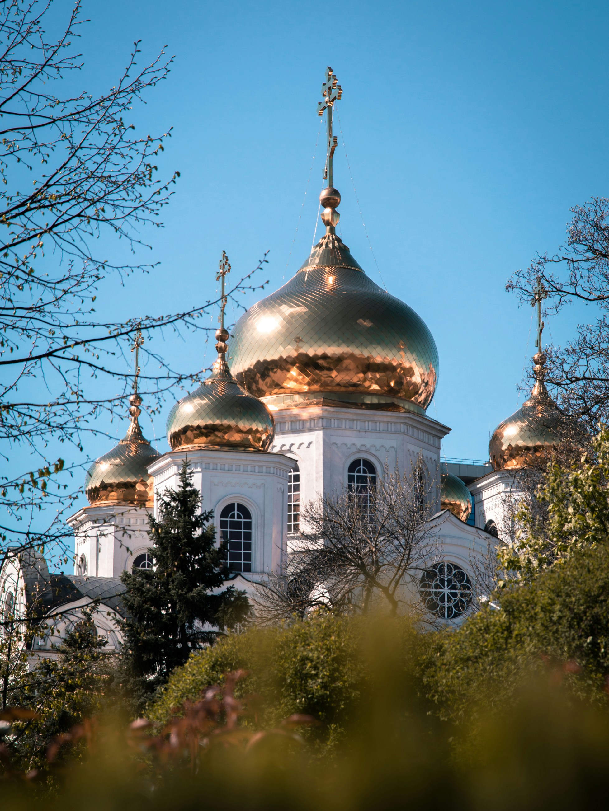 Photo by kirillpershin