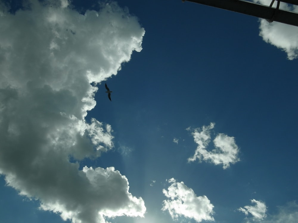 blue sky and white clouds