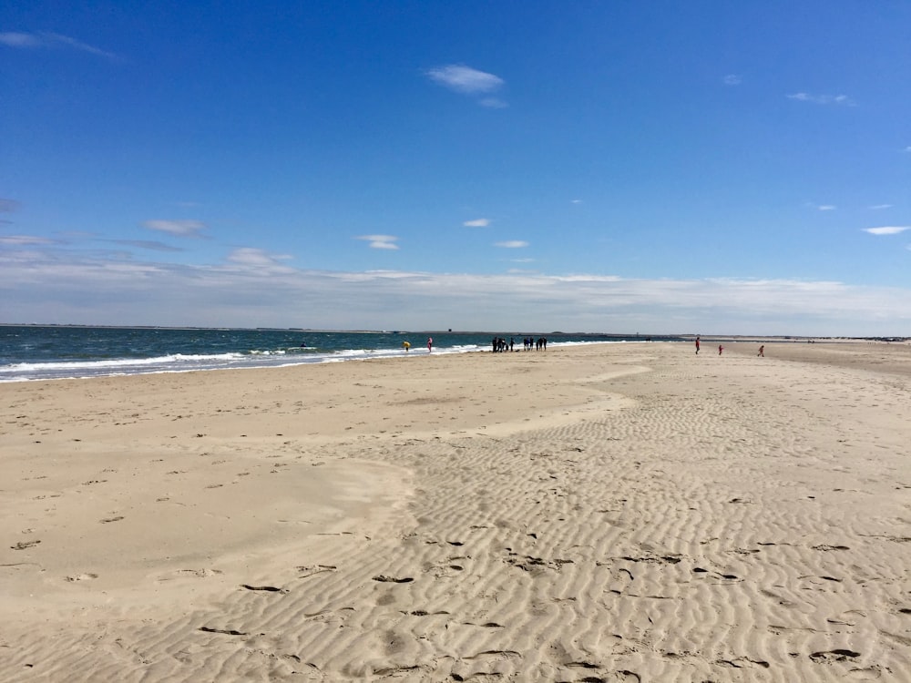 people walking near seashore viewing sea under blue and white skies