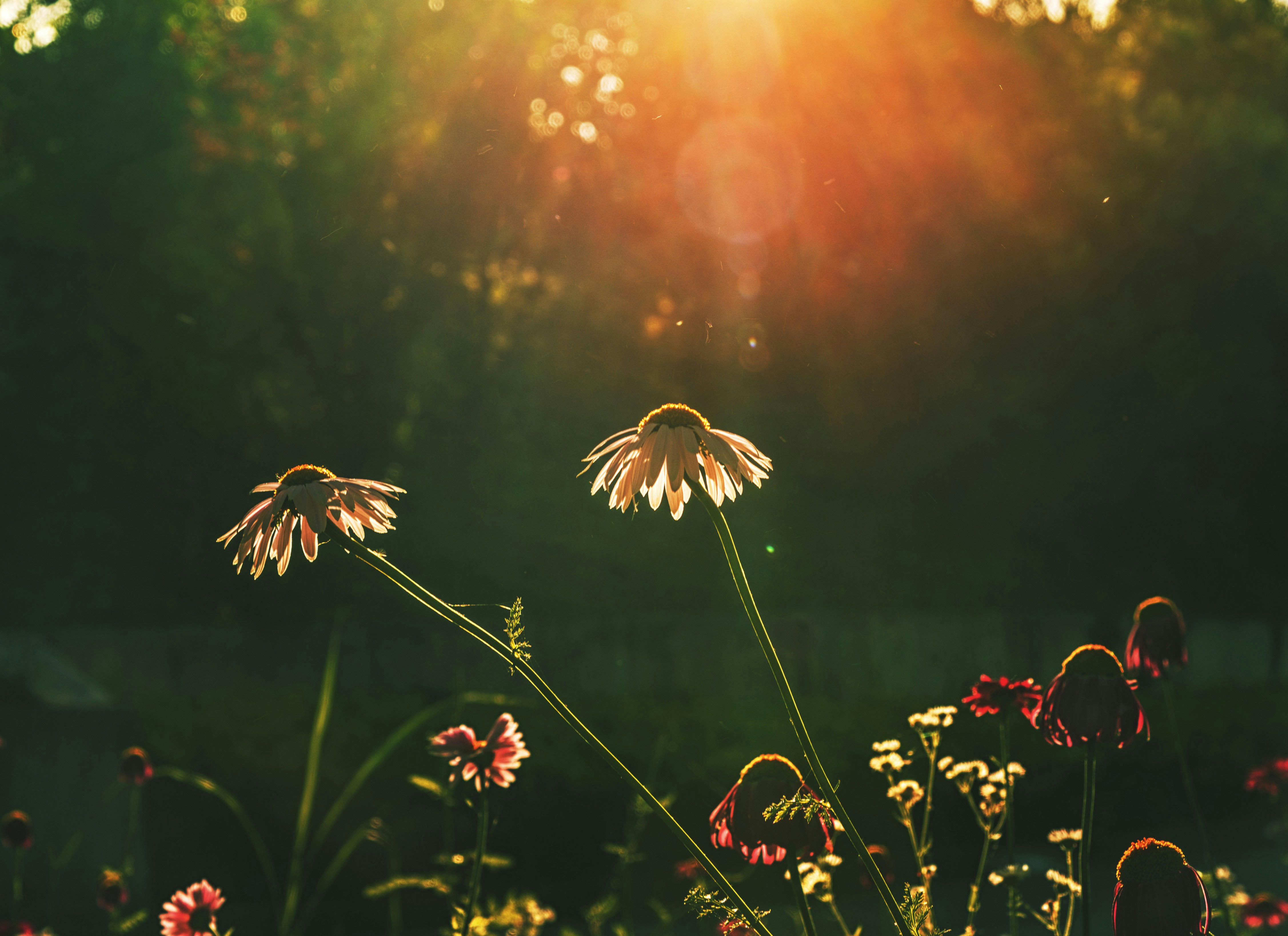 TC#021 - Calm your inbox