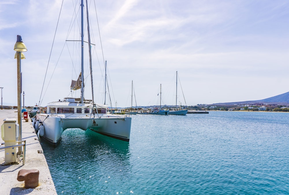 catamaran at dock during daytime