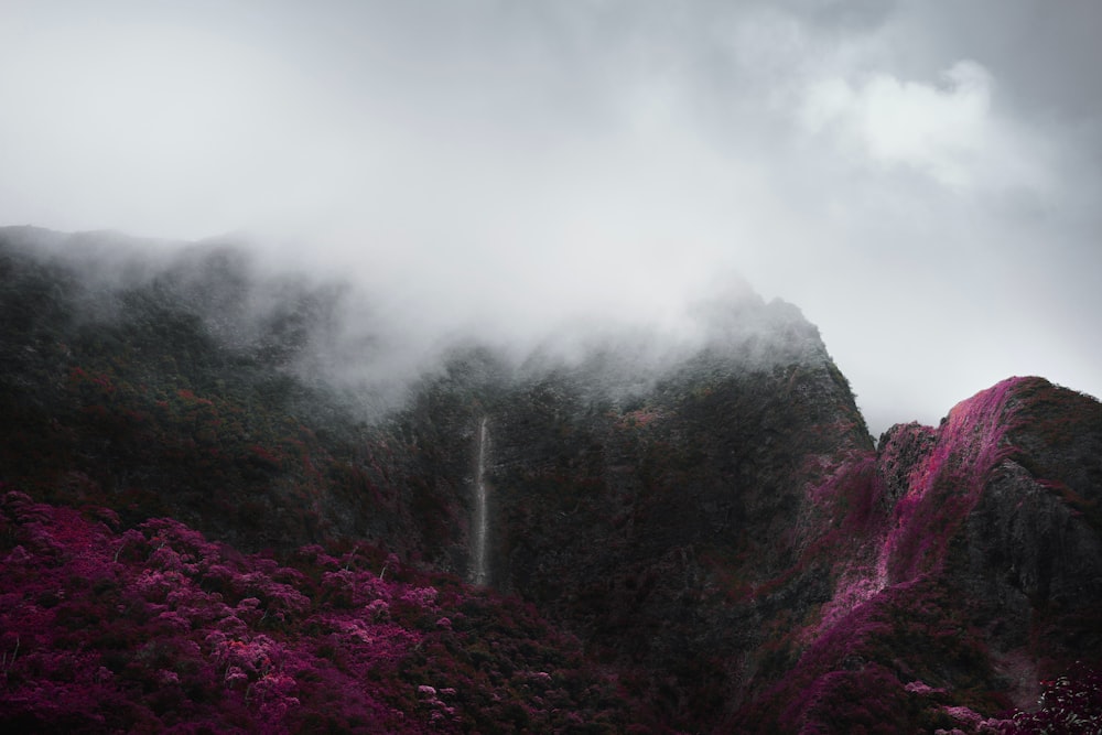 landscape photography of brown mountain