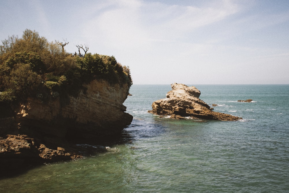 brown and green cliff in front of body of water