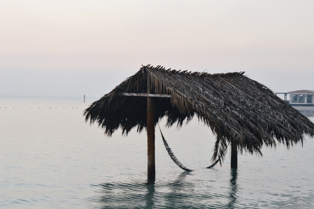 gray straw hat with hammock surrounded with body of water