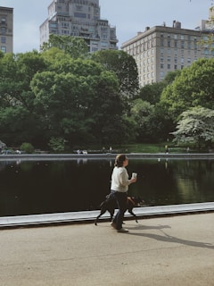 A person walks a black dog along a pathway beside a reflective body of water. The scene is set in a lush green park, with tall trees and high-rise buildings in the background. The person holds a paper coffee cup.