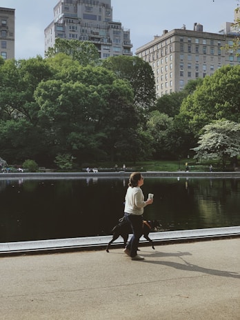 A person walks a black dog along a pathway beside a reflective body of water. The scene is set in a lush green park, with tall trees and high-rise buildings in the background. The person holds a paper coffee cup.