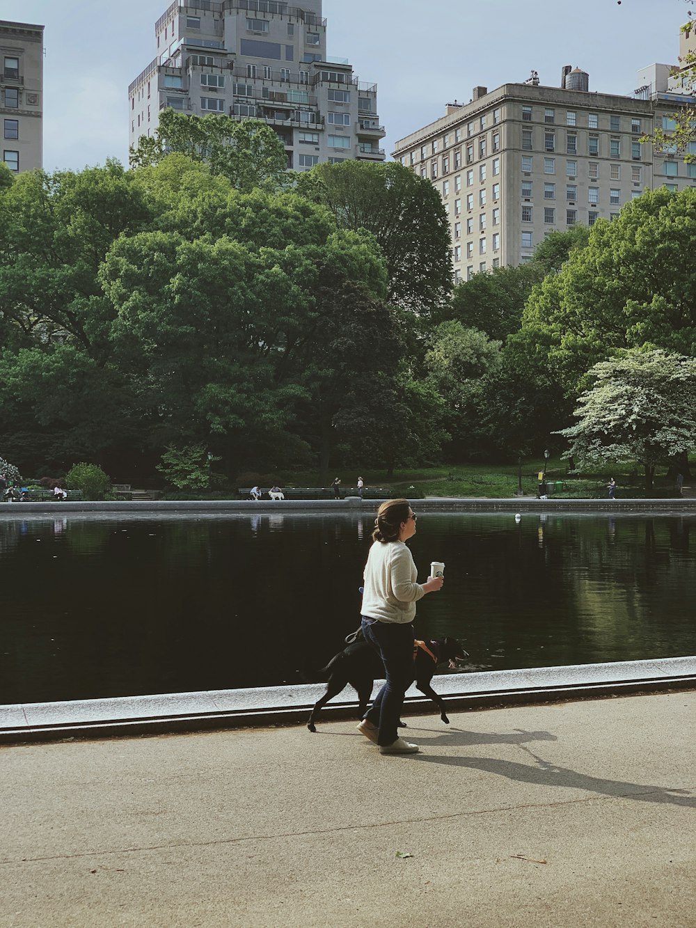 woman beside dog walking at park