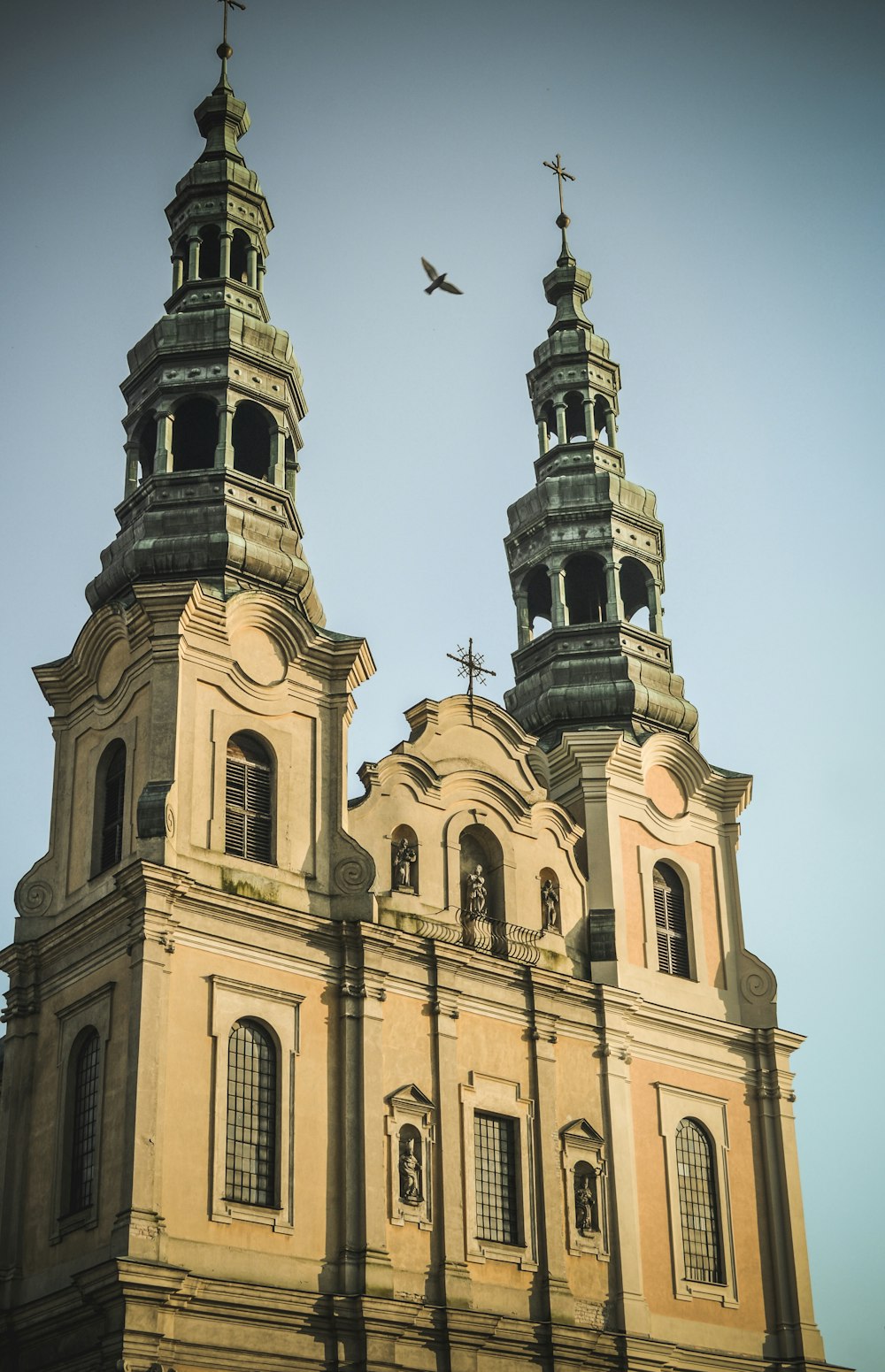 bird near cathedral