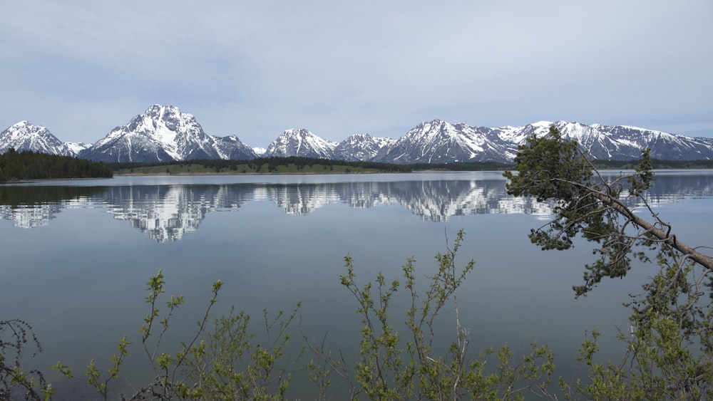 landscape photography of body of water