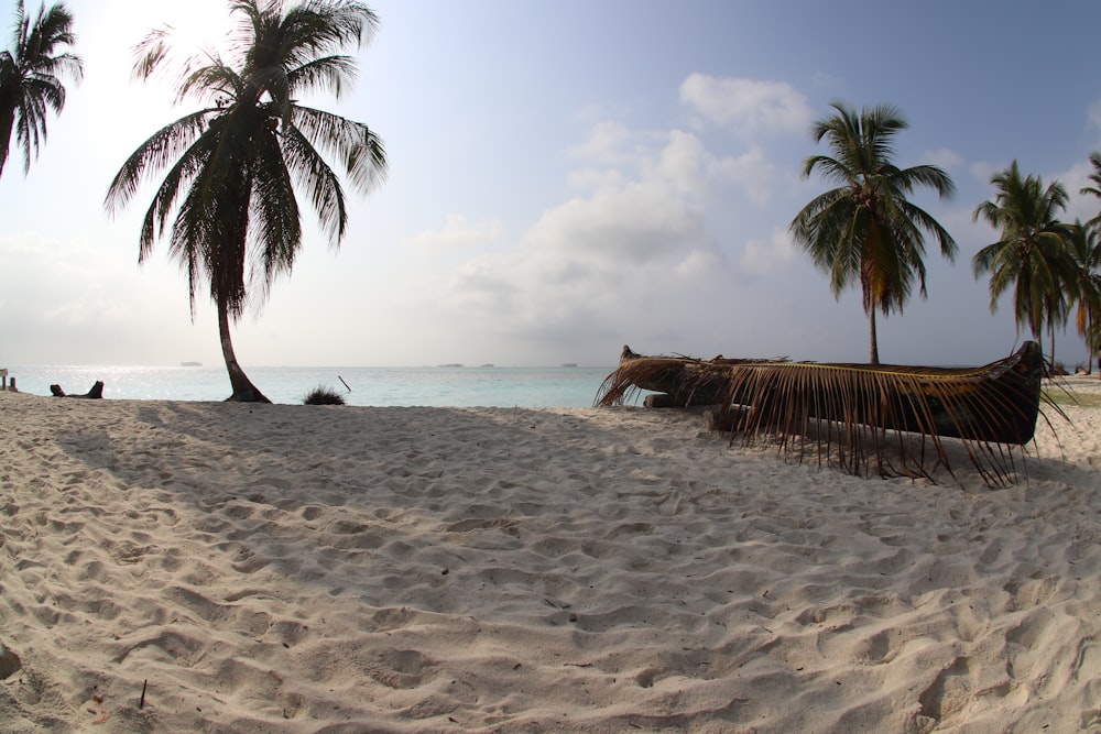 brown canoe on shore