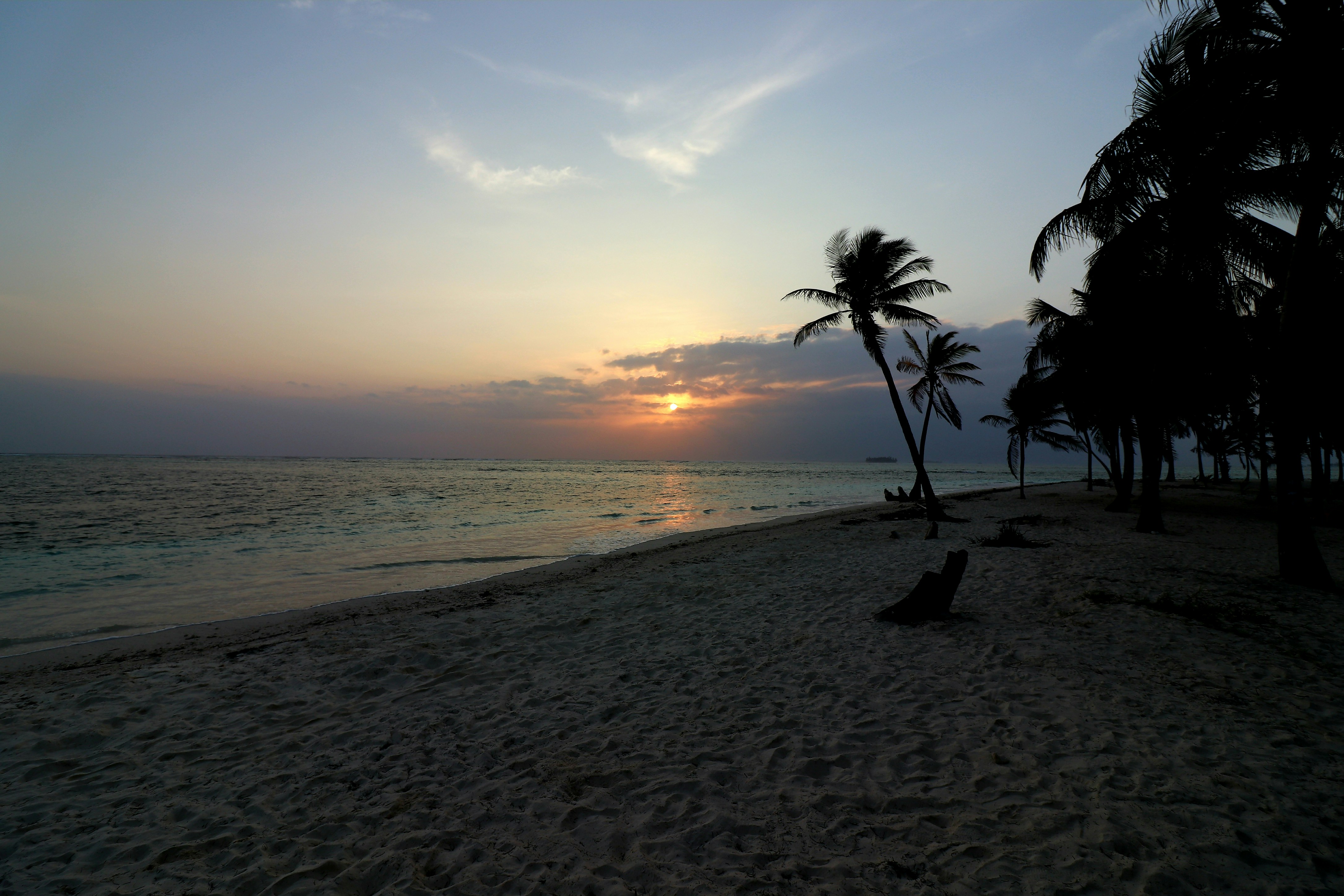 Photo by marcusdallcol