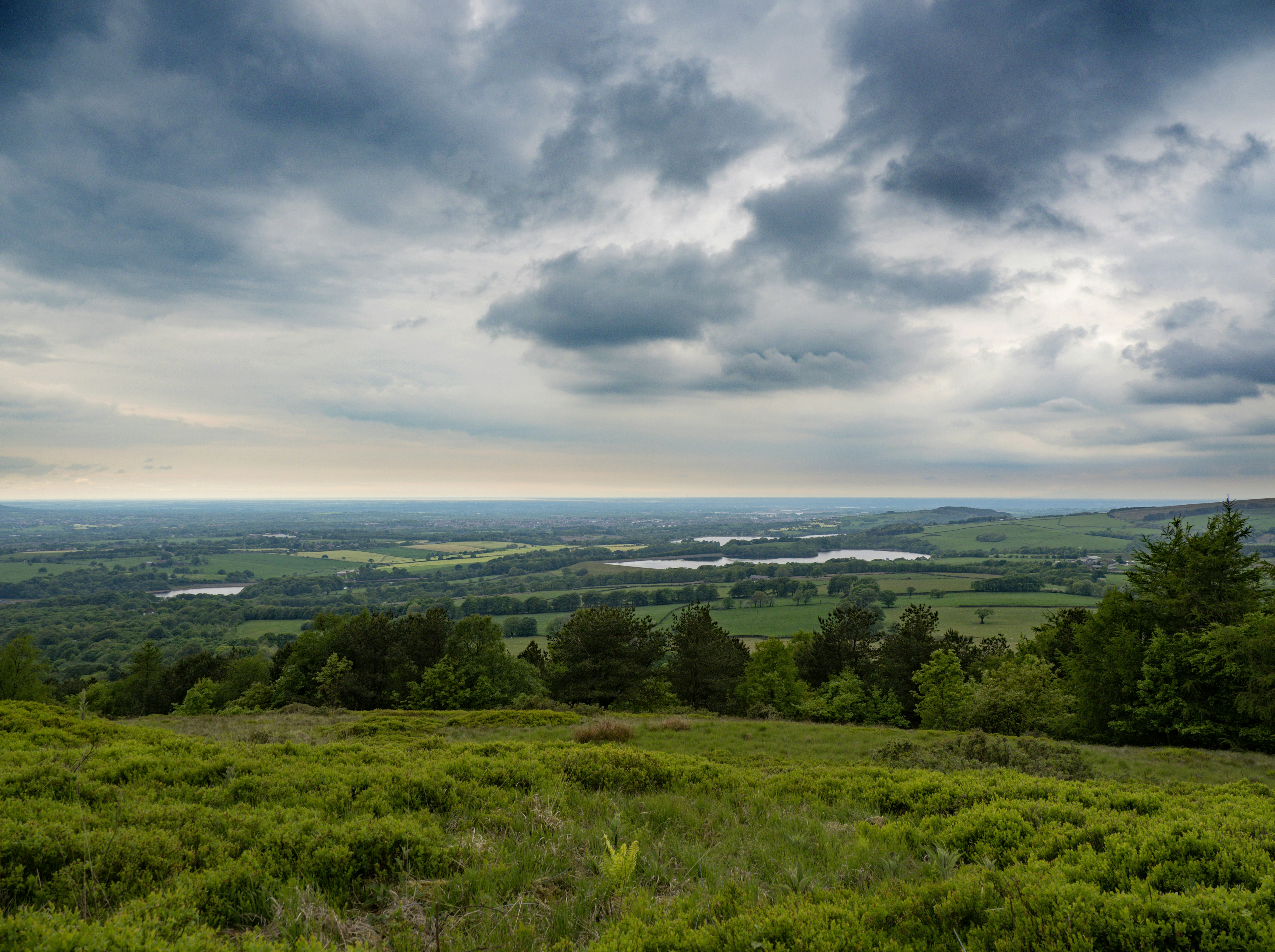 Photo by brett_jordan