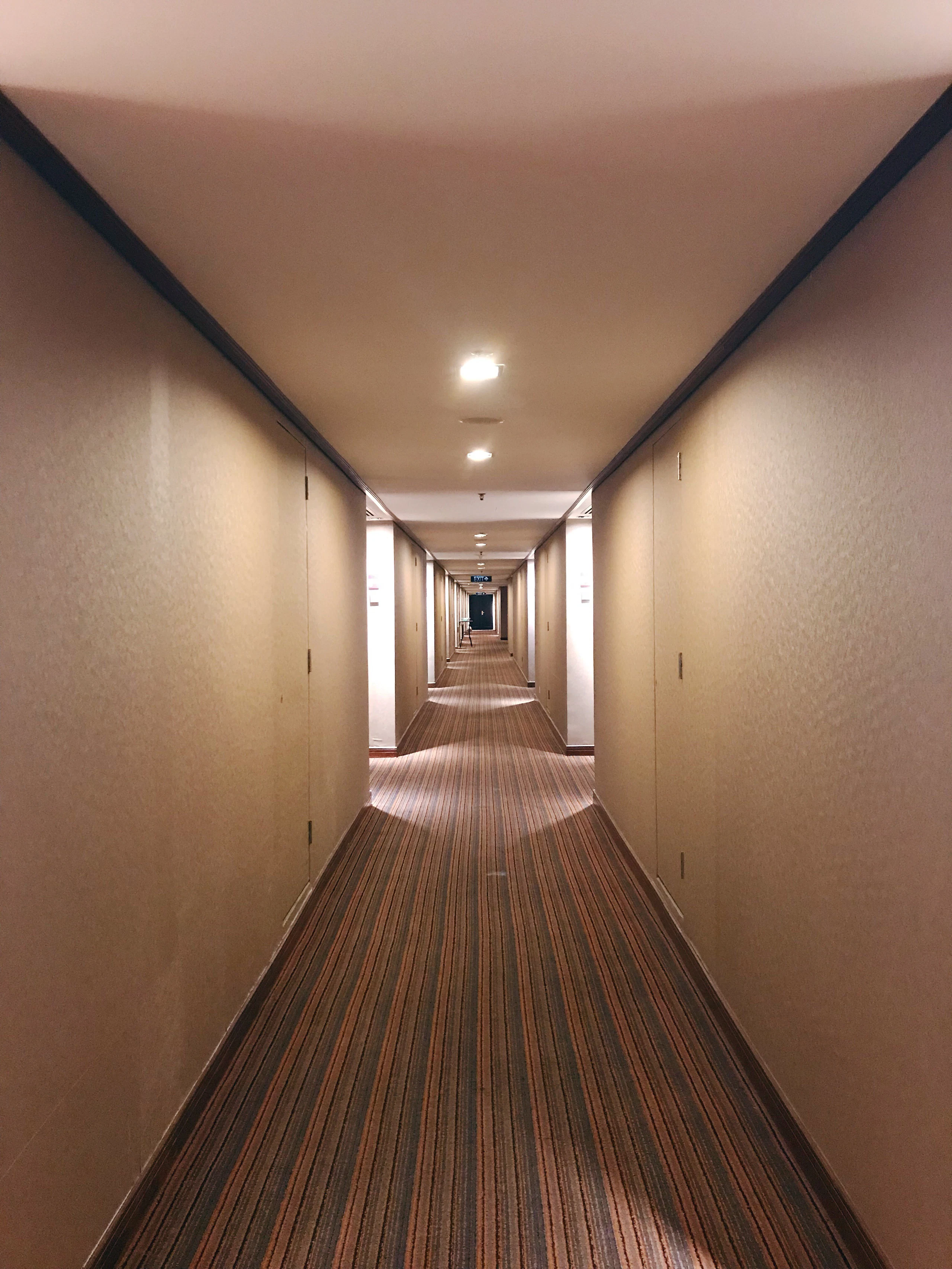 A long, softly lit hotel corridor