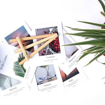 assorted photo frames beside plants