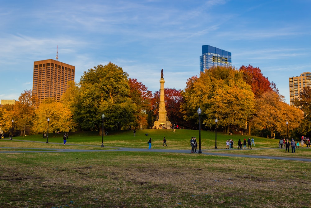 people standing on park