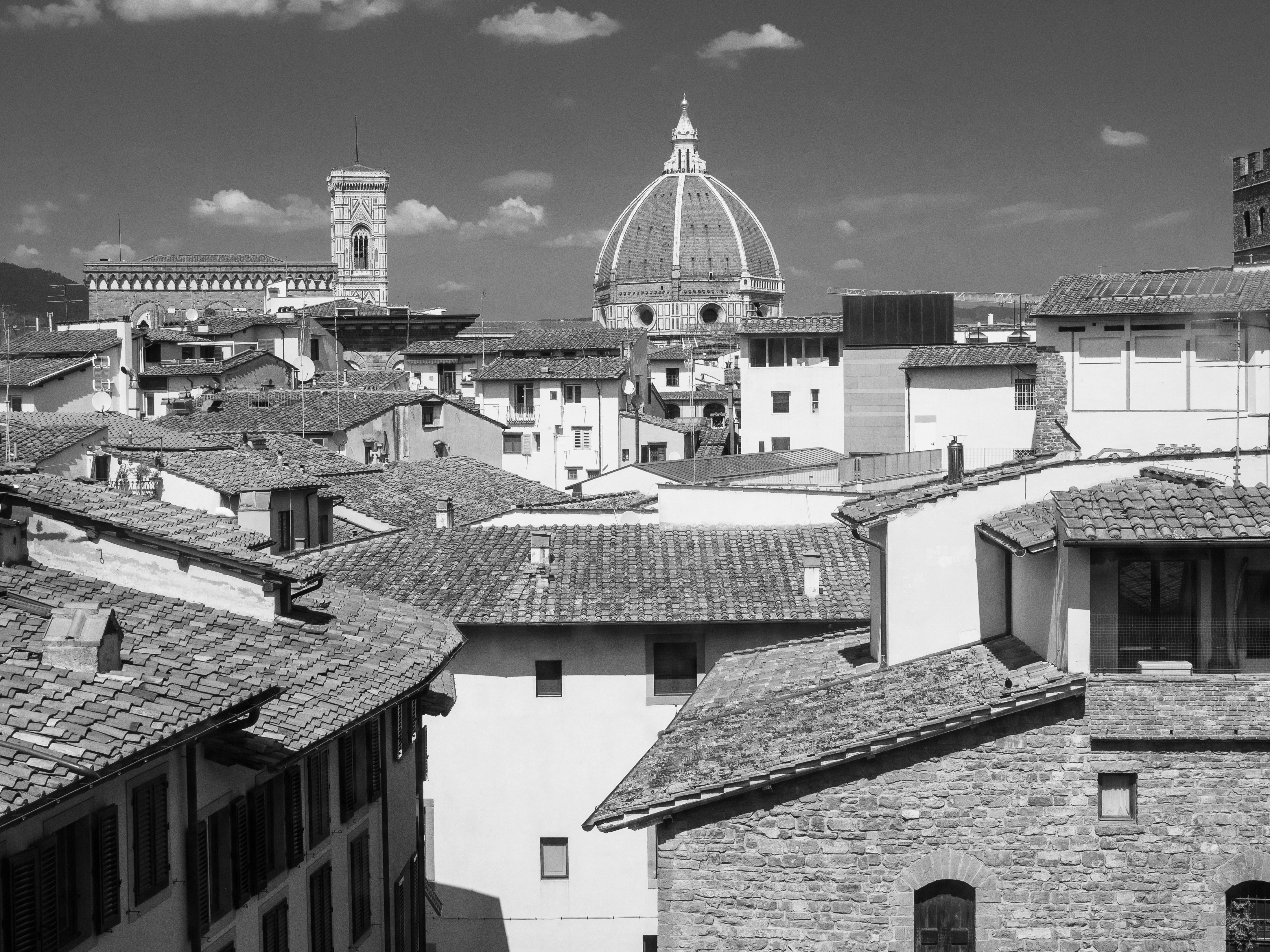Dome building behind houses