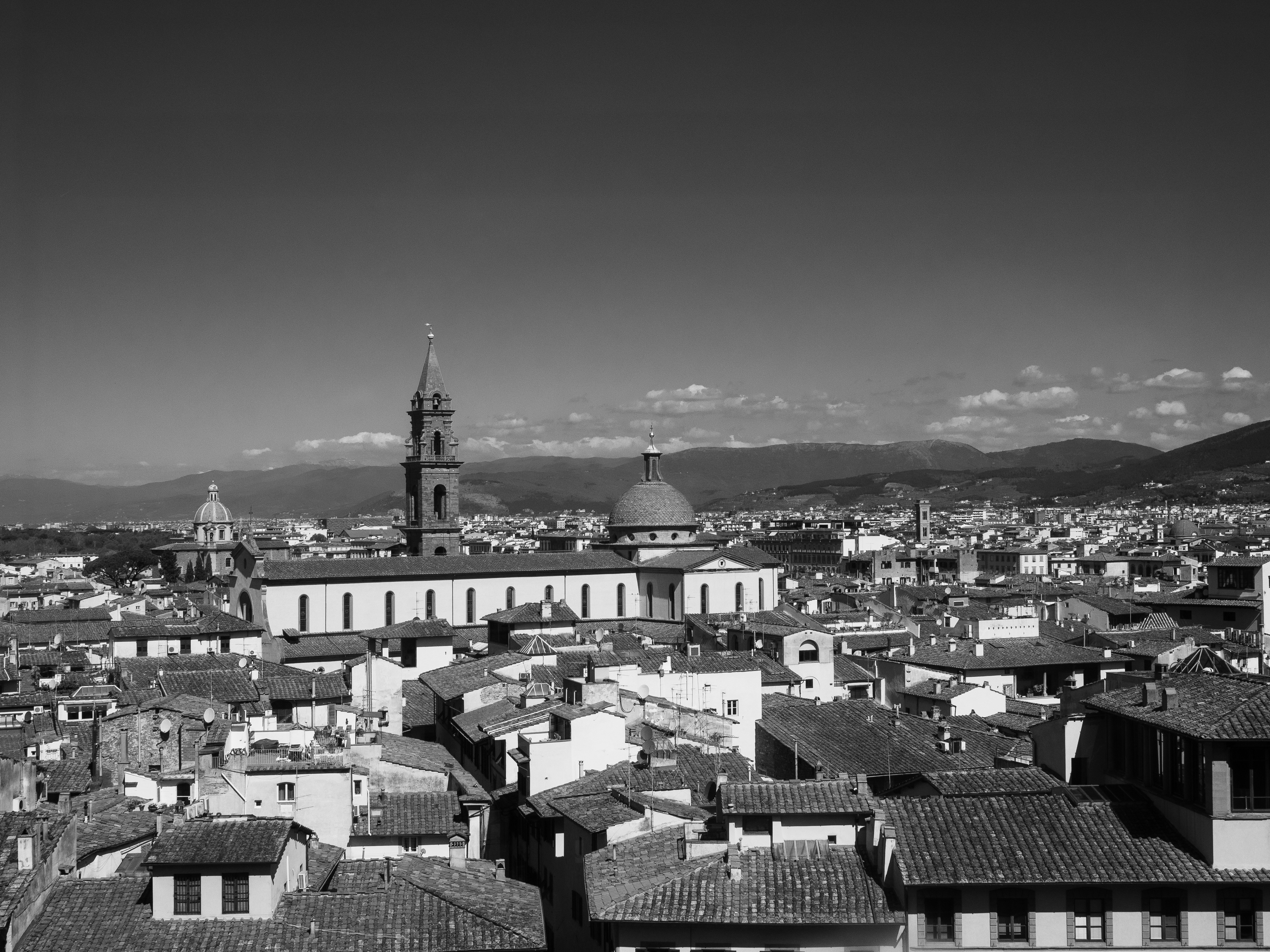 Grayscale photography of city