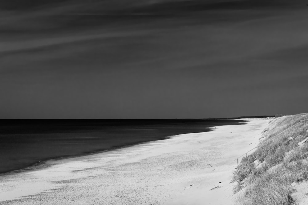 grayscale photography of beach