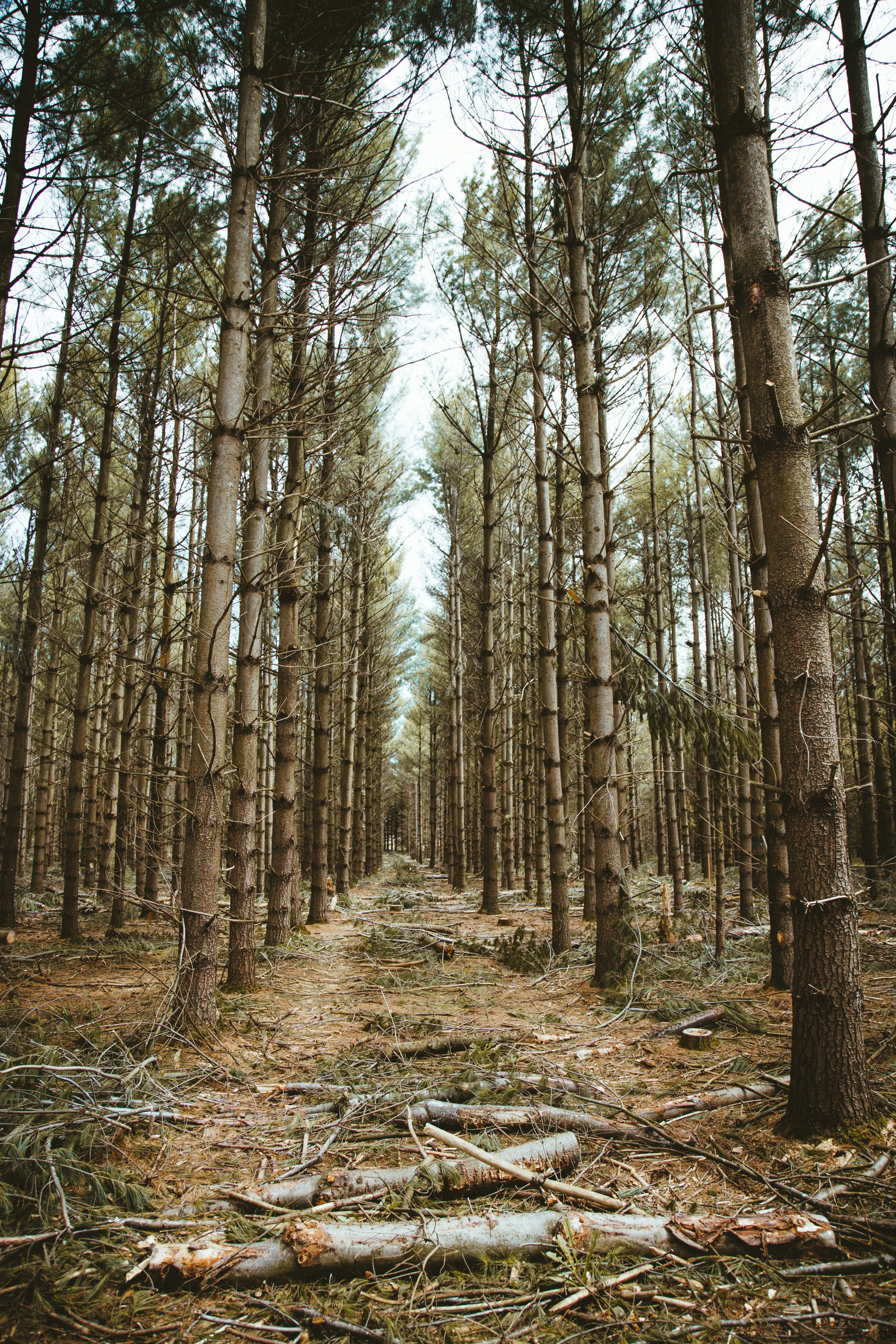 Photo by aloragriffiths