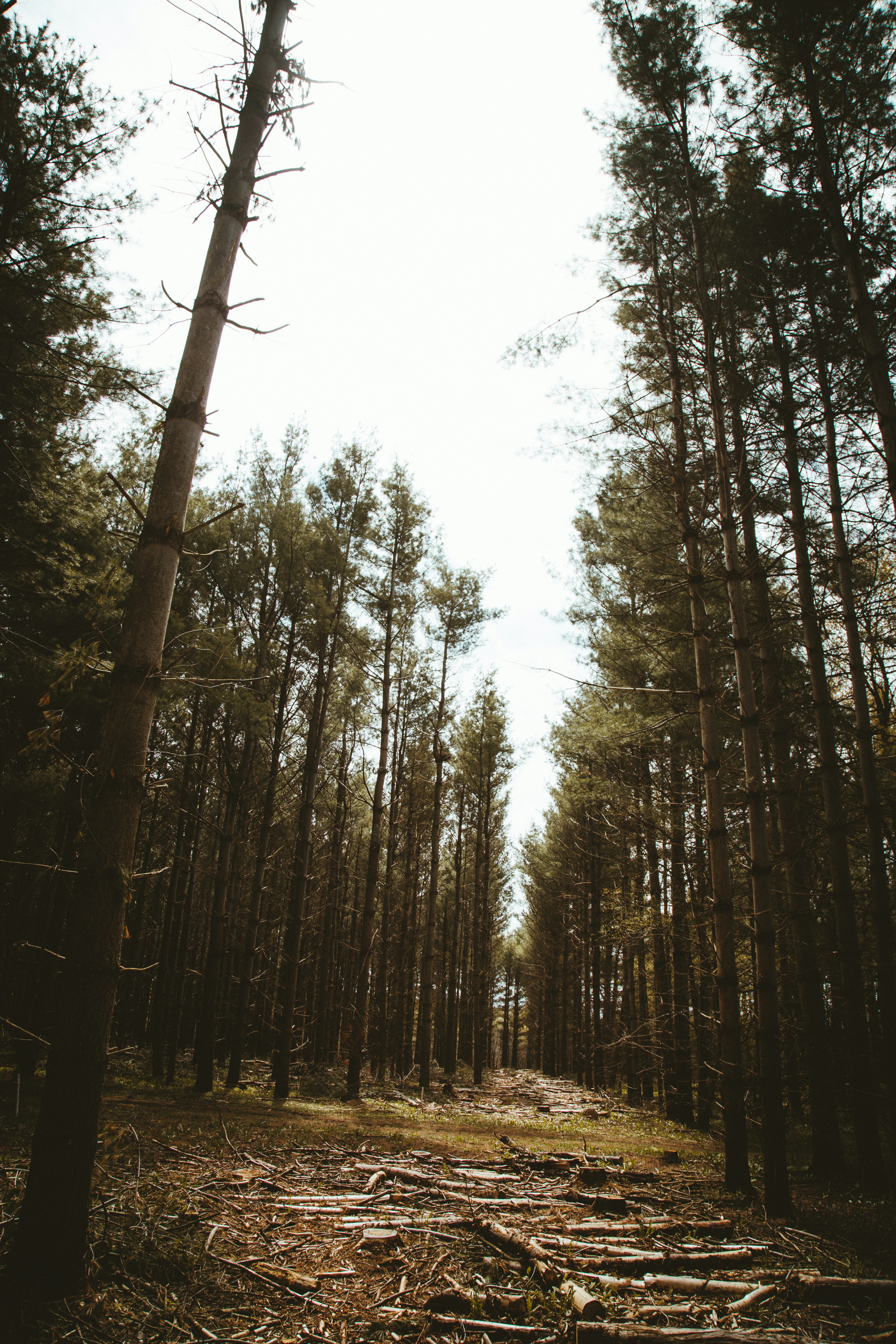 Photo by aloragriffiths