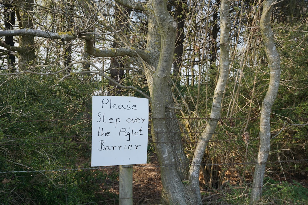 please step over the piglet barrier near tree